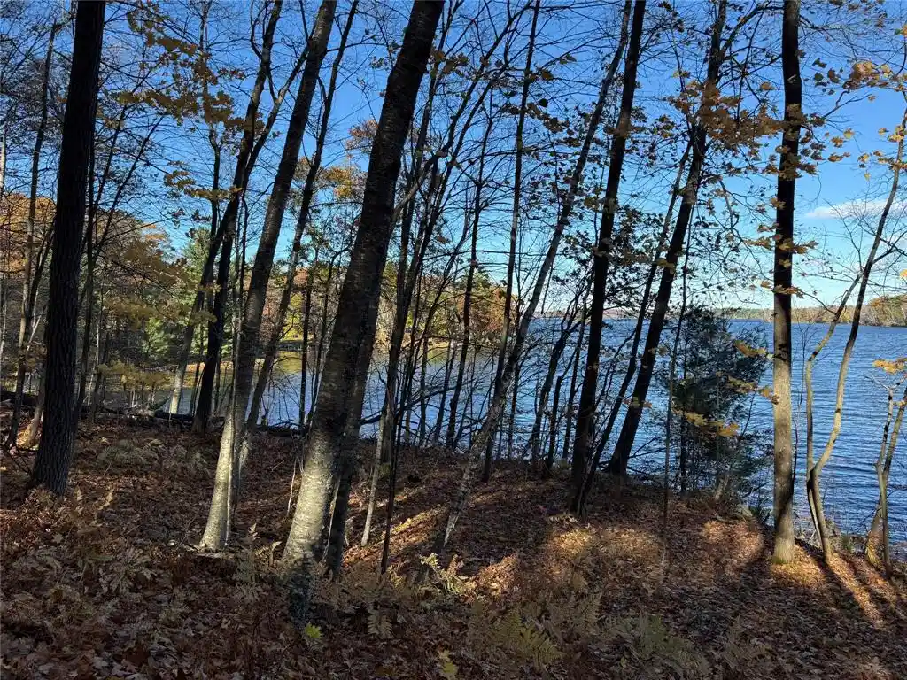Photo 2 of Land for sale at Xxx County Hwy Md, Sarona, WI 54870 | MLS# 1605948 | Listing updated on 2026-10-19