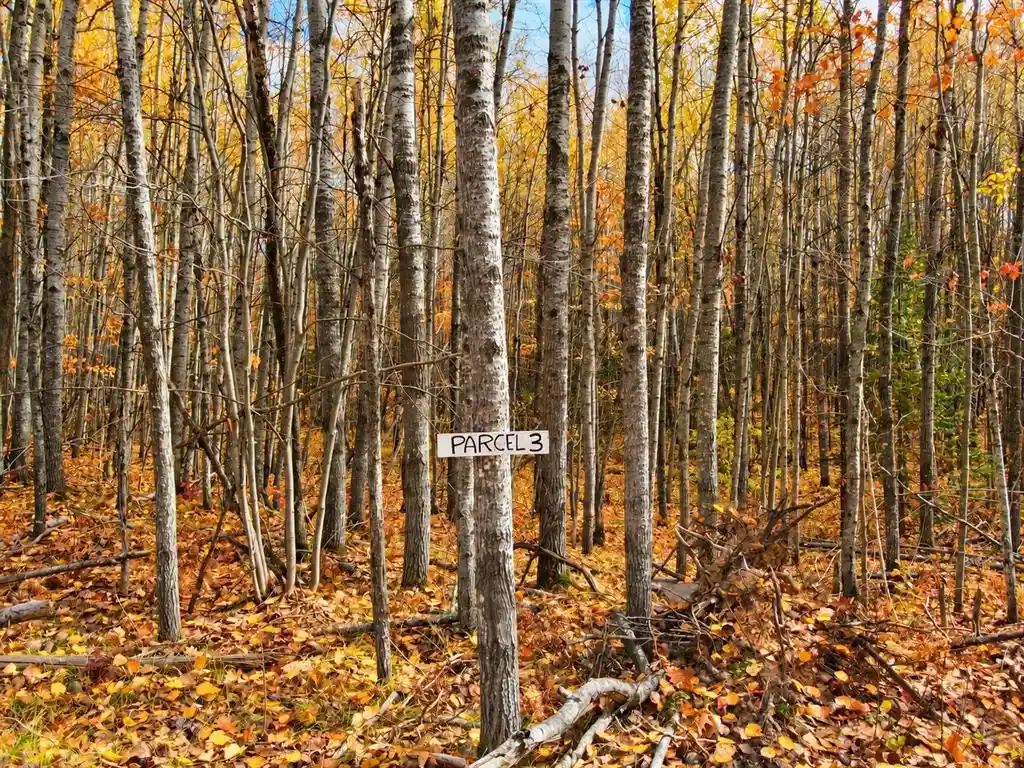 Photo 2 of Land for sale at Parcel 3 County Rd A, Solon Springs, WI 54873 | MLS# 1606051 | Listing updated on 2026-10-17