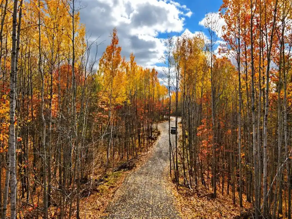 Photo 4 of Land for sale at Parcel 3 County Rd A, Solon Springs, WI 54873 | MLS# 1606051 | Listing updated on 2026-10-17