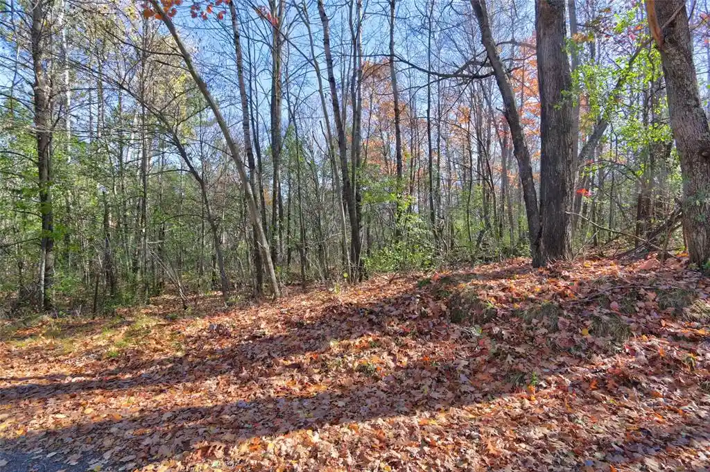 Photo 2 of Land for sale at 11720n Harper Rd, Hayward, WI 54843 | MLS# 1606038 | Listing updated on 2026-10-23