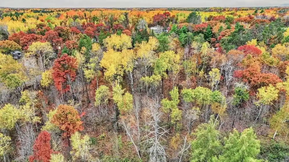 Photo 1 of Land for sale at 6008 W Shell Crk Rd, Minong, WI 54859 | MLS# 1606082 | Listing updated on 2026-10-19