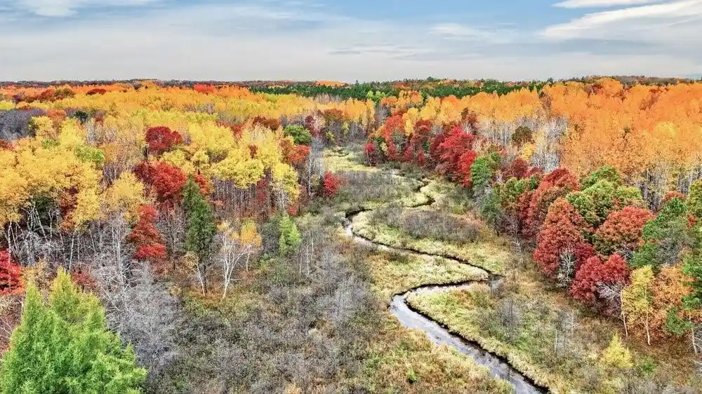Photo 2 of Land for sale at 6008 W Shell Crk Rd, Minong, WI 54859 | MLS# 1606082 | Listing updated on 2026-10-19