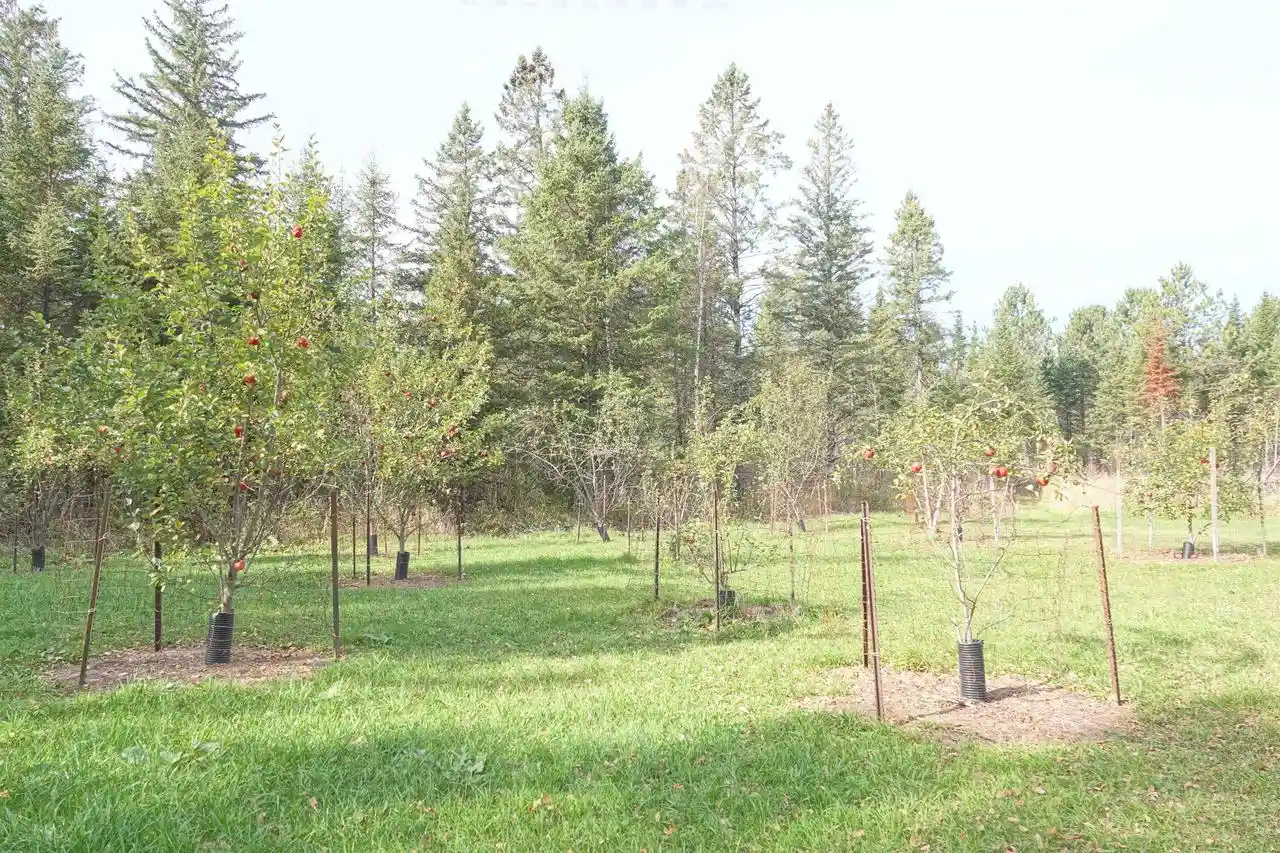 Single family home for sale at W10534 County Rd D, Westboro, WI 54490 | MLS# 22605220