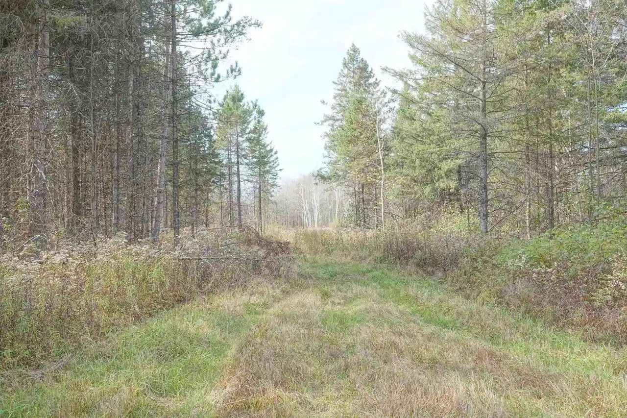 Photo 4 of Single family home for sale at W10534 County Rd D, Westboro, WI 54490 | MLS# 22605220 | Listing updated on 2026-10-27