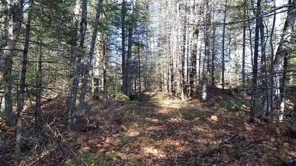 Photo 3 of Land for sale at 4800 43 Road, Solon Springs, WI 54873 | MLS# 1606105 | Listing updated on 2026-10-19