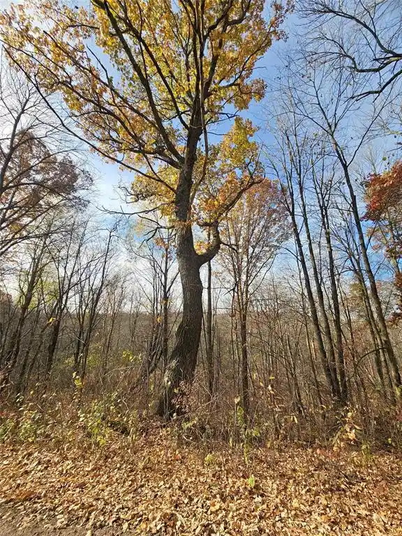 Photo 1 of Land for sale at 000 16th Avenue, Cameron, WI 54822 | MLS# 1606114 | Listing updated on 2026-10-21