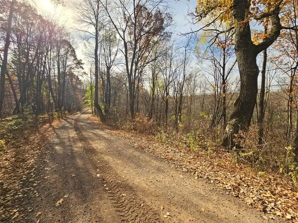 Photo 2 of Land for sale at 000 16th Avenue, Cameron, WI 54822 | MLS# 1606114 | Listing updated on 2026-10-21