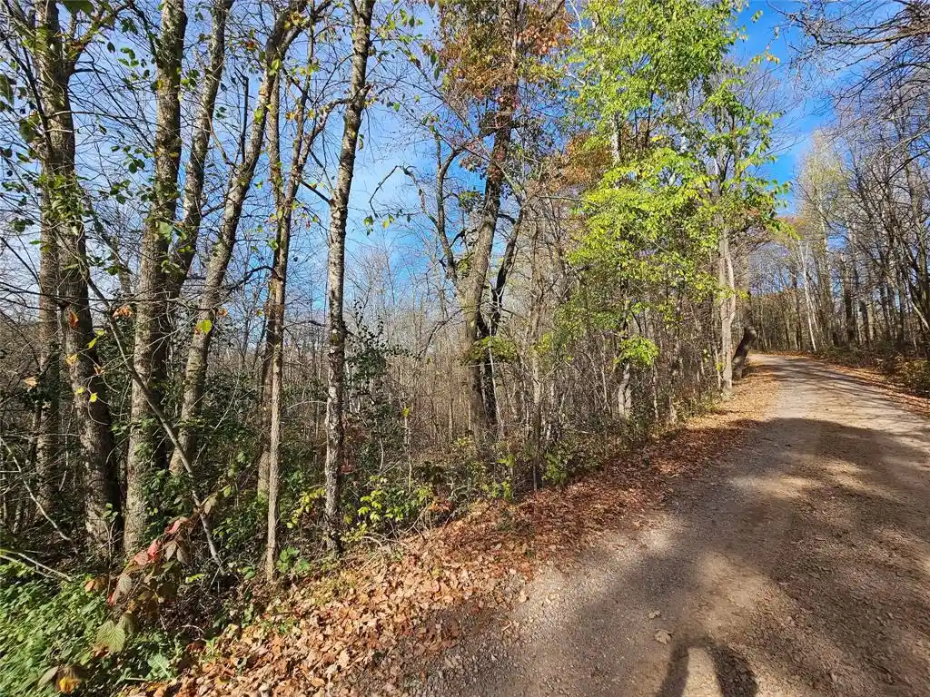 Photo 4 of Land for sale at 000 16th Avenue, Cameron, WI 54822 | MLS# 1606114 | Listing updated on 2026-10-21