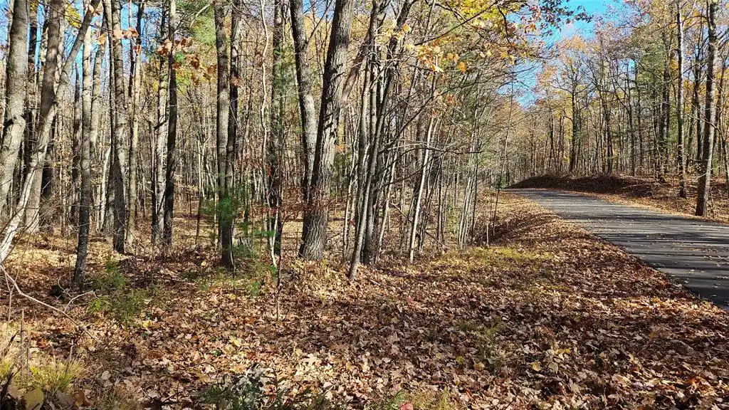 Photo 1 of Land for sale at Lot 1 Goss Rd, Hayward, WI 54843 | MLS# 1606106 | Listing updated on 2026-10-22