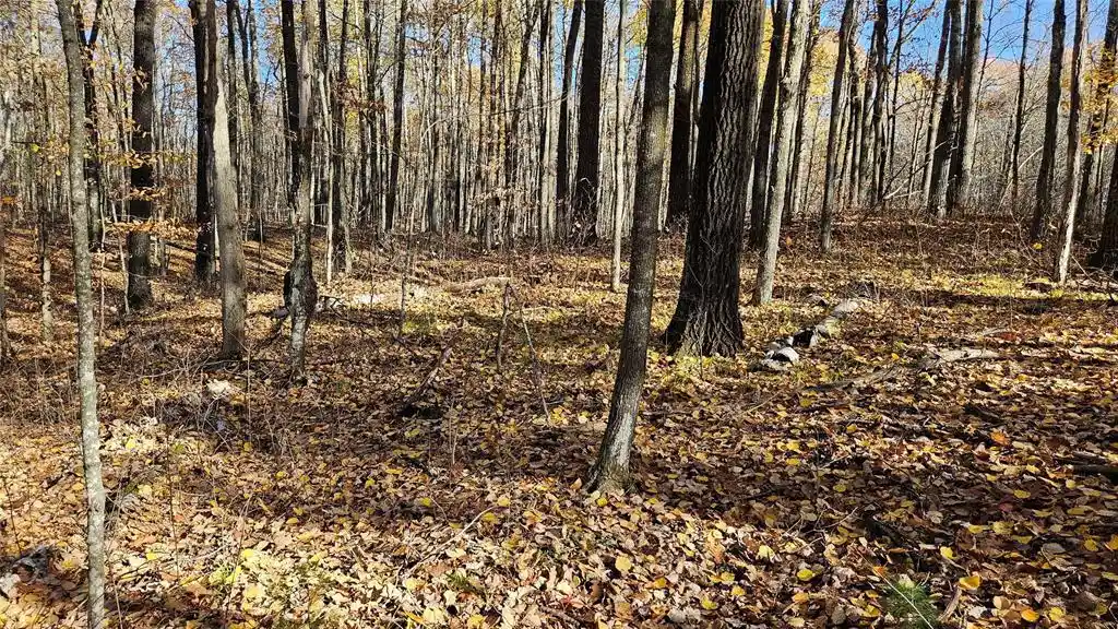 Photo 1 of Land for sale at Lot 1 Goss Rd, Hayward, WI 54843 | MLS# 1606106 | Listing updated on 2026-10-22