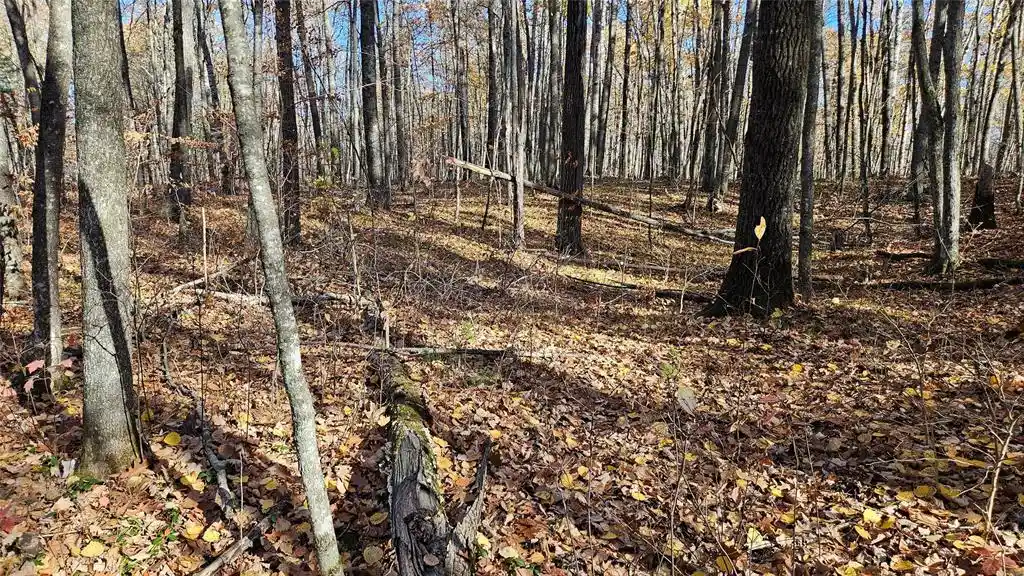 Photo 3 of Land for sale at Lot 1 Goss Rd, Hayward, WI 54843 | MLS# 1606106 | Listing updated on 2026-10-22