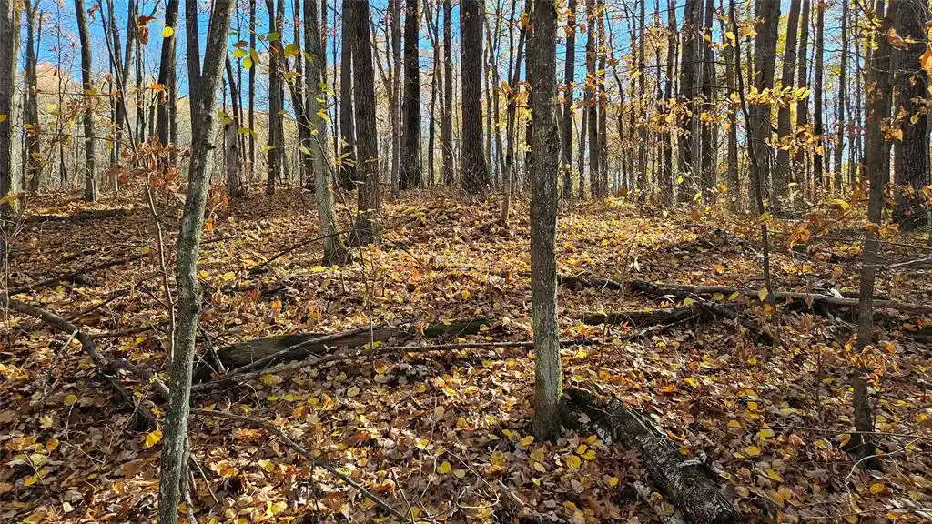 Photo 4 of Land for sale at Lot 1 Goss Rd, Hayward, WI 54843 | MLS# 1606106 | Listing updated on 2026-10-22
