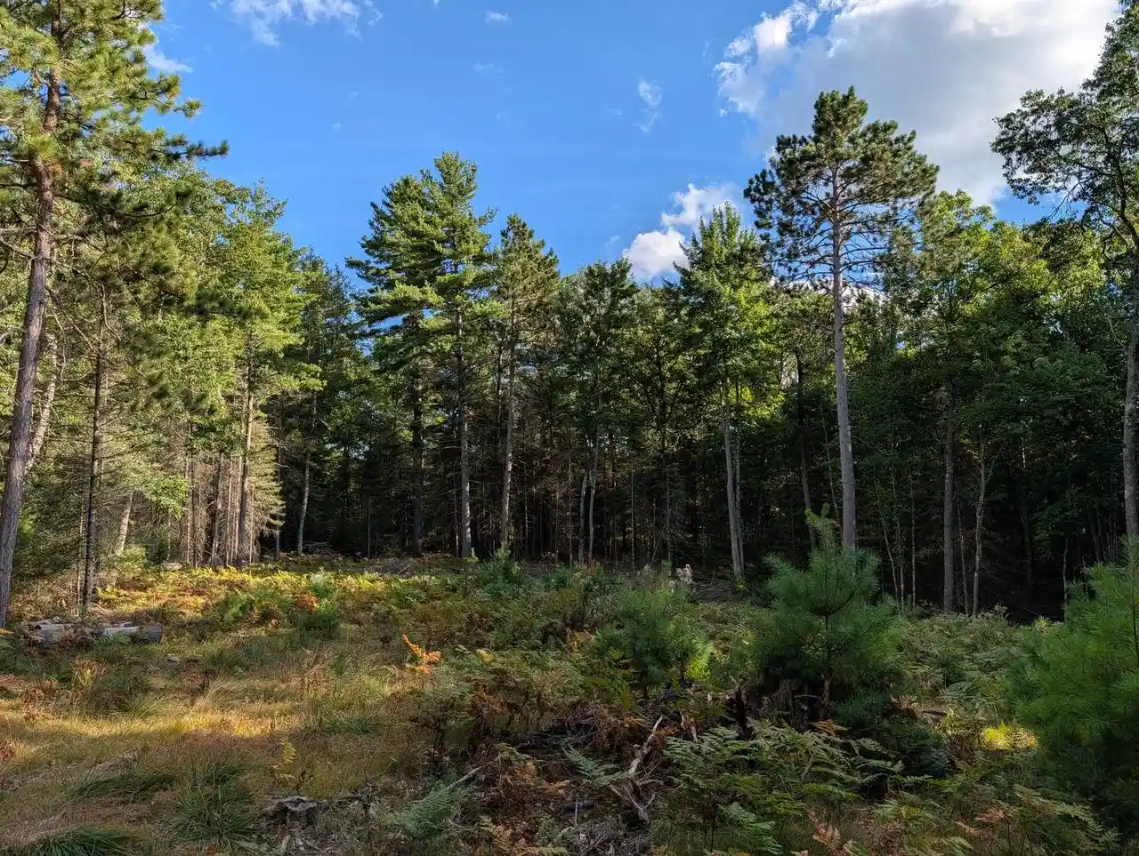 Photo 2 of Land for sale at 1325 Eaglewatch Ct #LT2, Saint Germain, WI 54558 | MLS# 1985766 | Listing updated on 2026-10-22