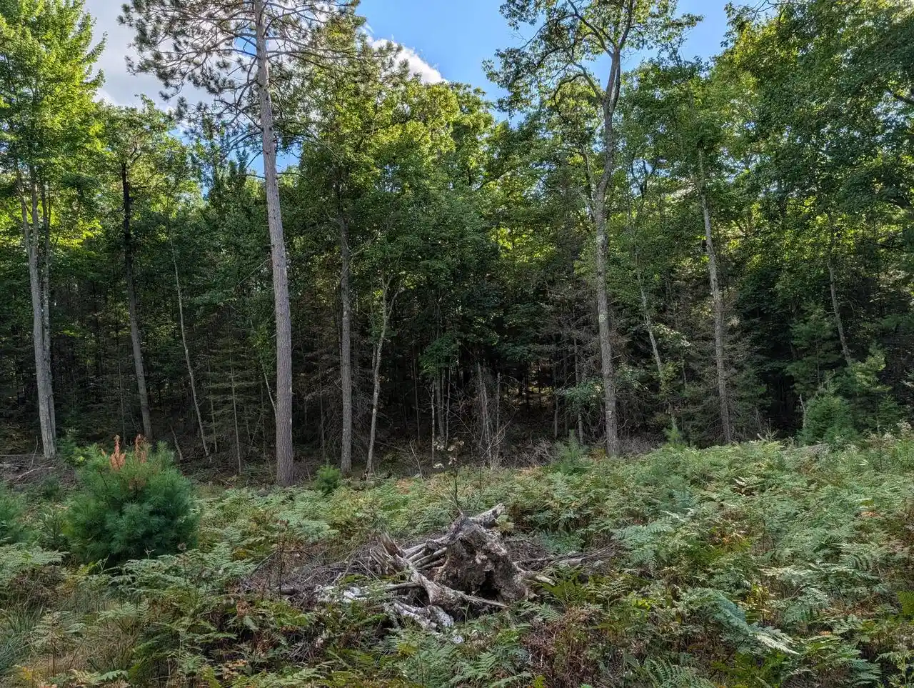 Photo 3 of Land for sale at 1325 Eaglewatch Ct #LT2, Saint Germain, WI 54558 | MLS# 1985766 | Listing updated on 2026-10-22