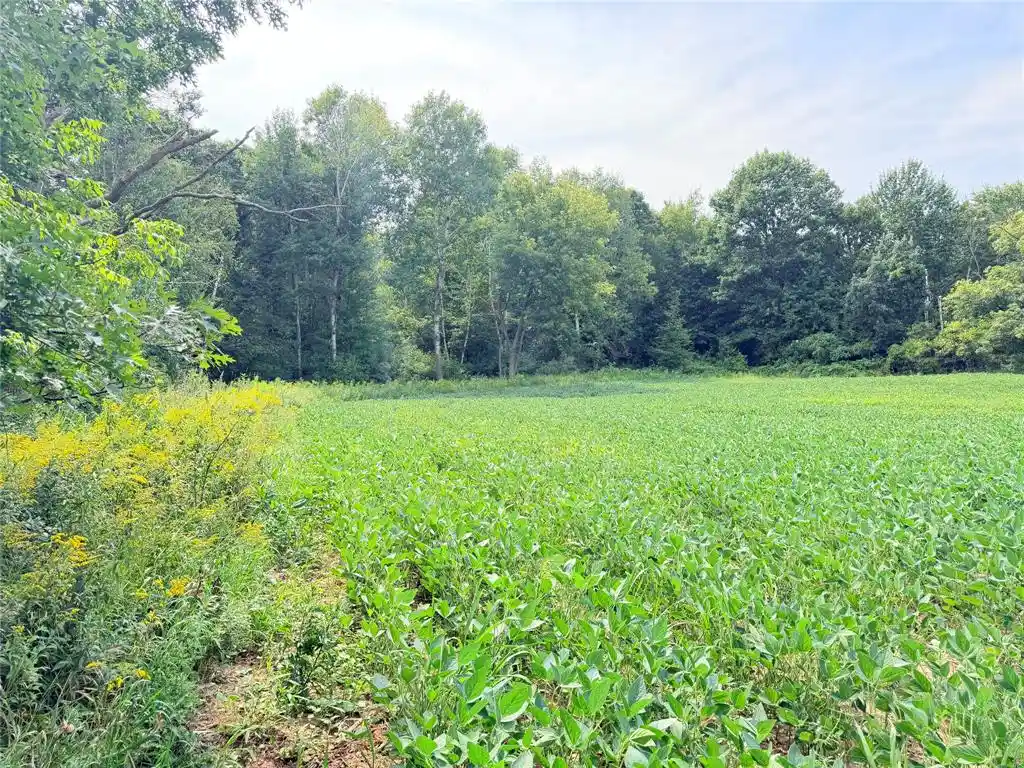 Photo 1 of Land for sale at 10 Acres Lot 4 230th St, St Croix Falls, WI 54024 | MLS# 1606210 | Listing updated on 2026-10-23
