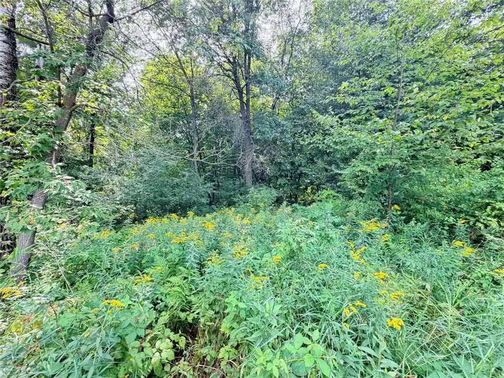 Photo 1 of Land for sale at 10 Acres Lot 4 230th St, St Croix Falls, WI 54024 | MLS# 1606210 | Listing updated on 2026-10-23