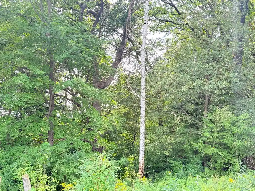 Photo 2 of Land for sale at 10 Acres Lot 4 230th St, St Croix Falls, WI 54024 | MLS# 1606210 | Listing updated on 2026-10-23