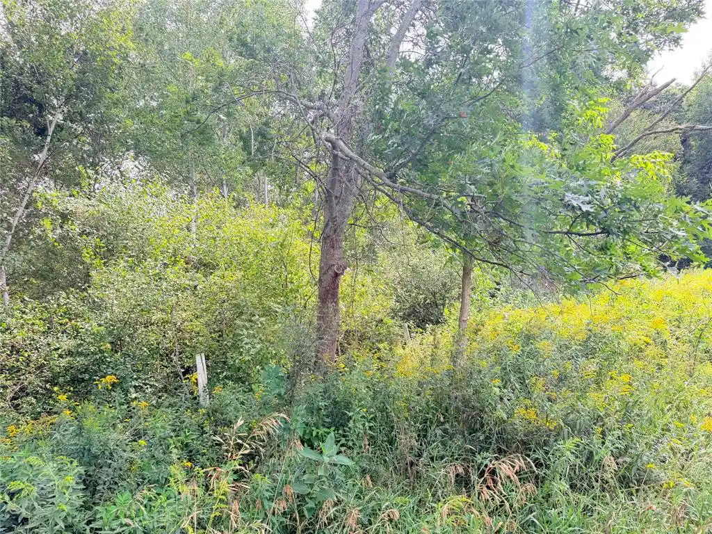 Photo 3 of Land for sale at 10 Acres Lot 4 230th St, St Croix Falls, WI 54024 | MLS# 1606210 | Listing updated on 2026-10-23