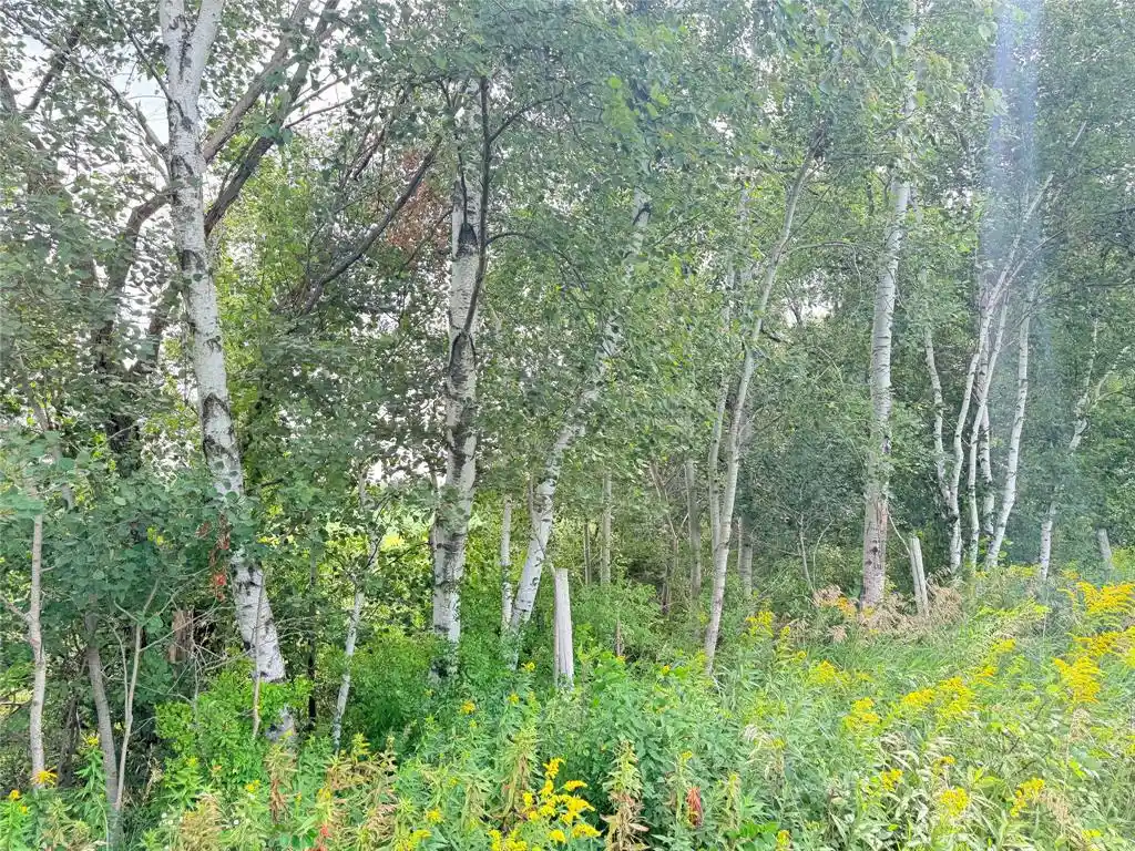 Photo 4 of Land for sale at 10 Acres Lot 4 230th St, St Croix Falls, WI 54024 | MLS# 1606210 | Listing updated on 2026-10-23