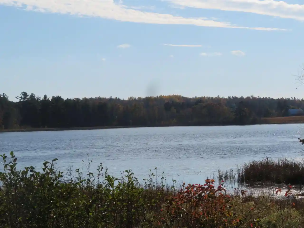 Photo 1 of Single family home for sale at E1583 Penny Ln, Iola, WI 54945 | MLS# 50334762 | Listing updated on 2026-10-26