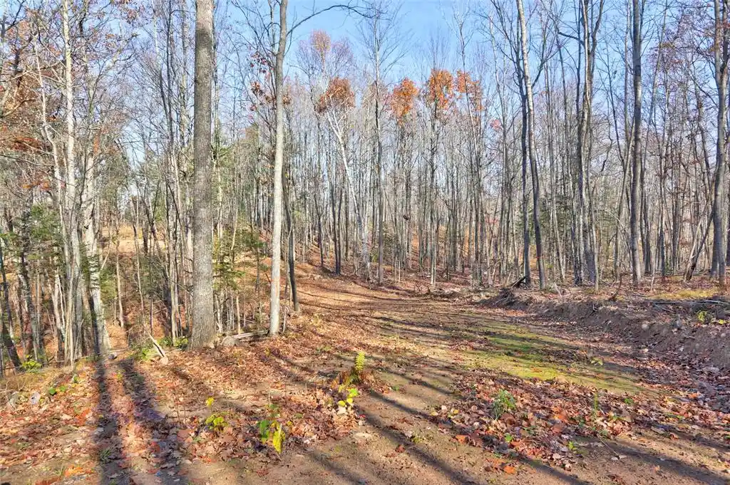 Photo 1 of Land for sale at 13109w Nova Rd, Hayward, WI 54843 | MLS# 1606224 | Listing updated on 2026-10-23