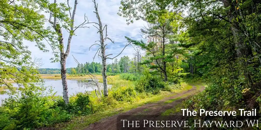Photo 2 of Land for sale at 11312n Vasa Rd, Hayward, WI 54843 | MLS# 1606227 | Listing updated on 2026-10-23