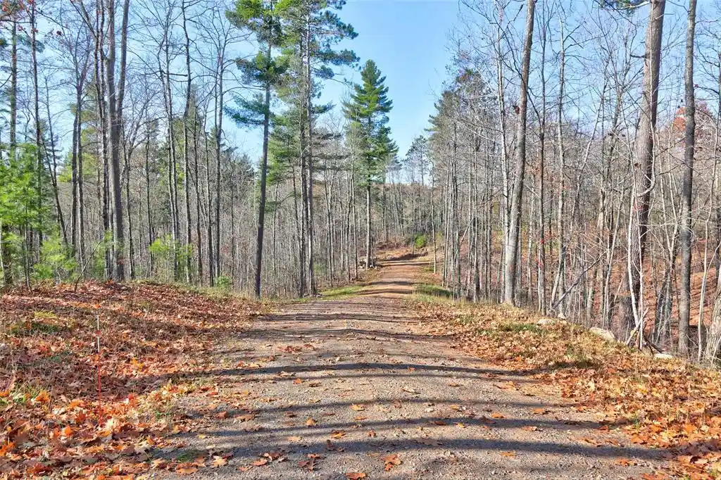 Photo 1 of Land for sale at 11289n Orion Rd, Hayward, WI 54843 | MLS# 1606231 | Listing updated on 2026-10-23