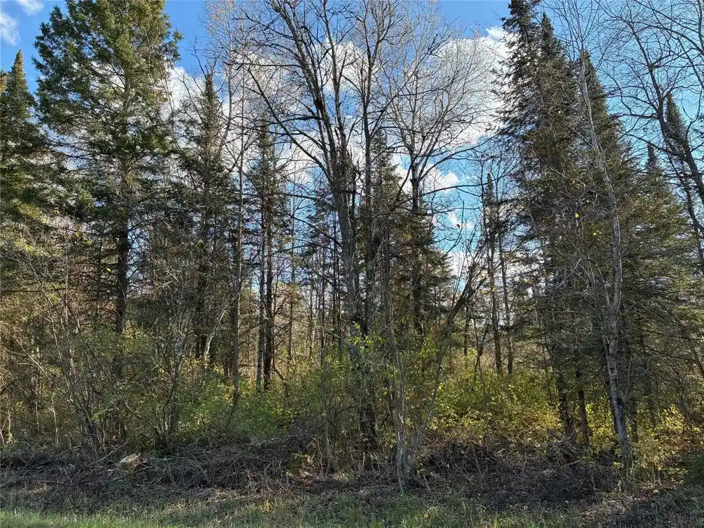Photo 2 of Land for sale at Lot 3 Fadness Rd, Winter, WI 54896 | MLS# 1606065 | Listing updated on 2026-10-26