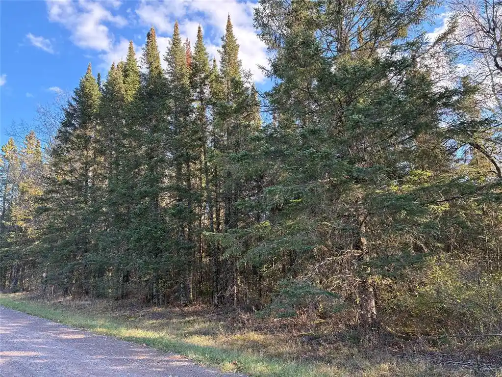 Photo 3 of Land for sale at Lot 3 Fadness Rd, Winter, WI 54896 | MLS# 1606065 | Listing updated on 2026-10-26