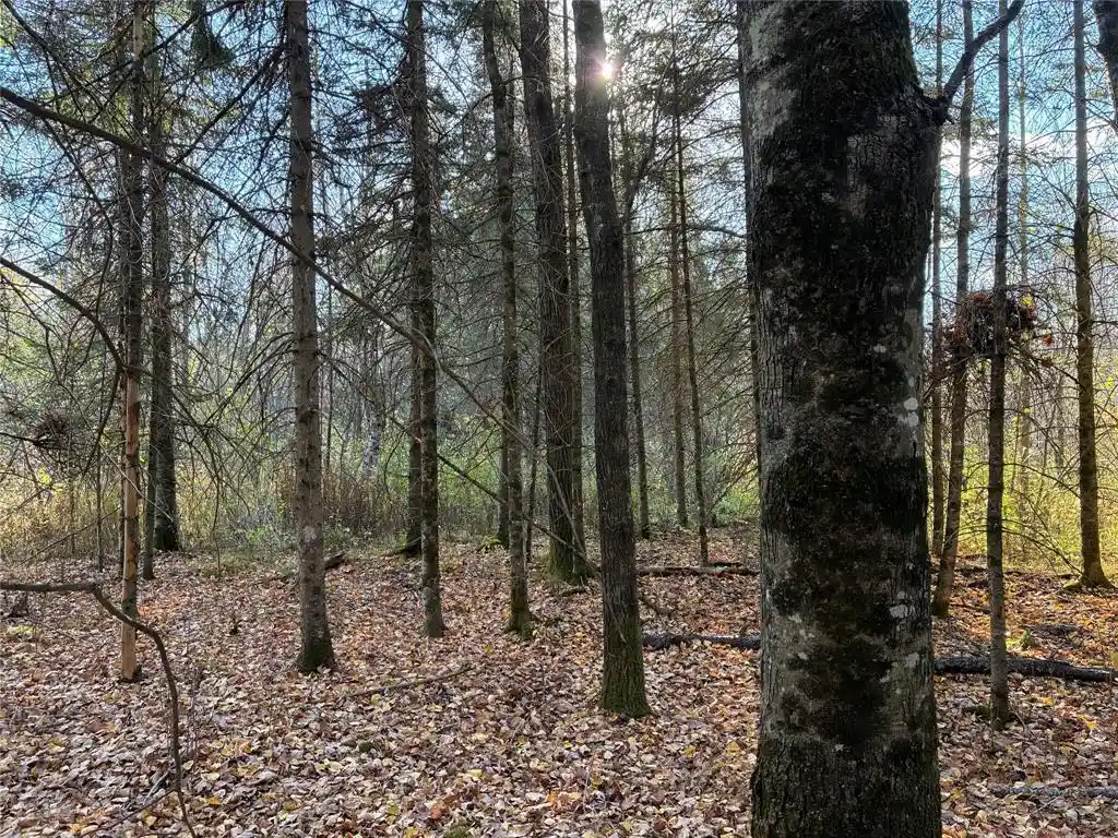 Photo 4 of Land for sale at Lot 3 Fadness Rd, Winter, WI 54896 | MLS# 1606065 | Listing updated on 2026-10-26