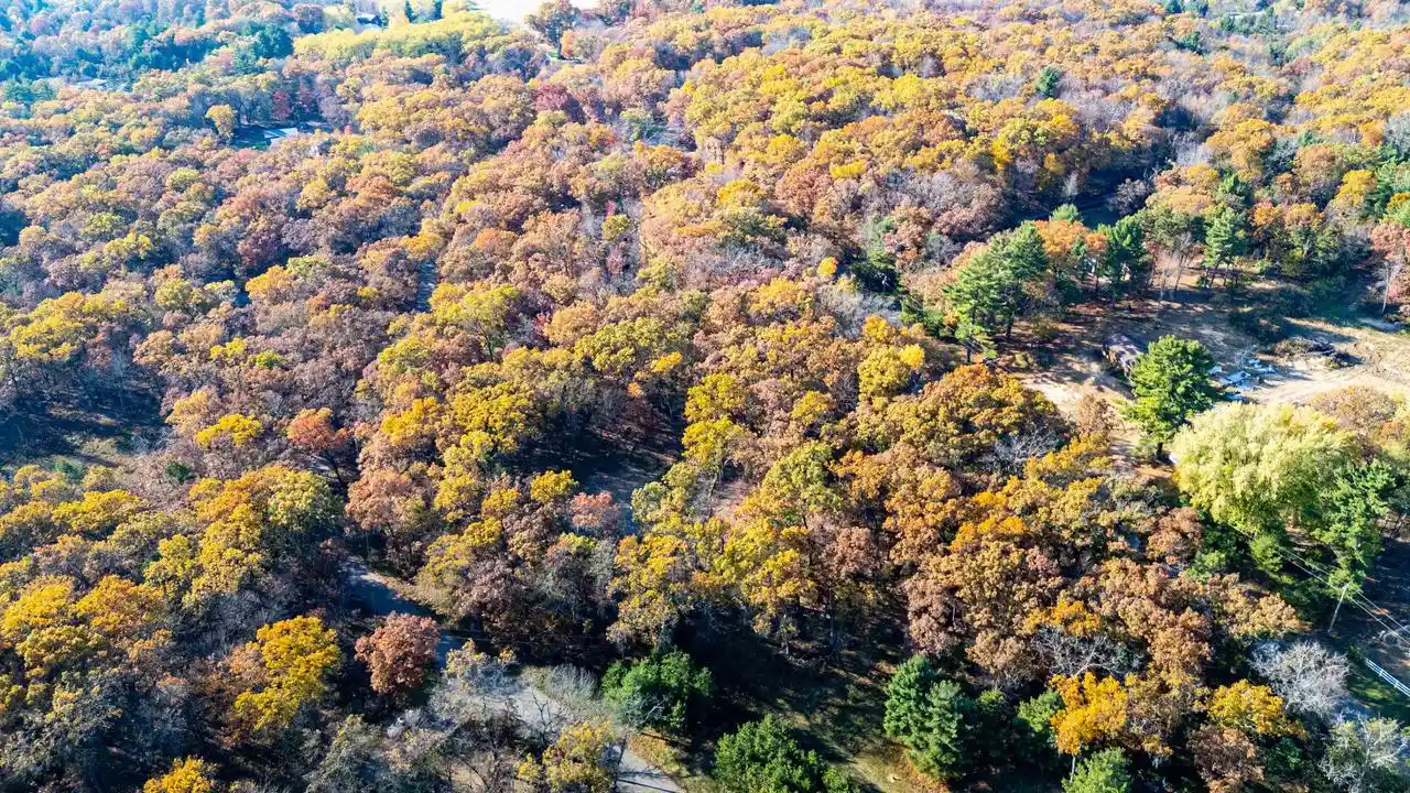 Photo 2 of Land for sale at E9396 Partridge Dr, Reedsburg, WI 53959 | MLS# 2035376 | Listing updated on 2026-10-28