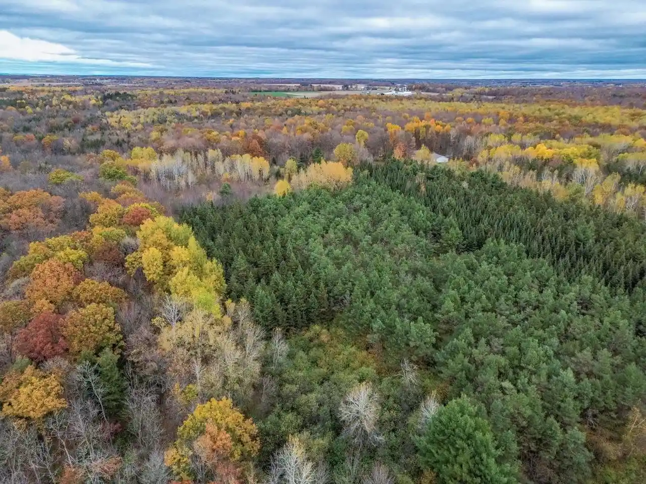 Photo 3 of Land for sale at 00 Land Art Rd, Wausau, WI 54403 | MLS# 22605336 | Listing updated on 2026-10-28