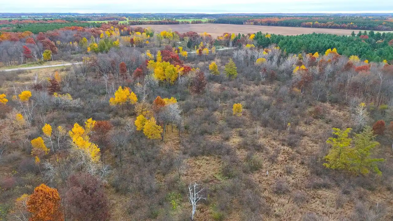 Photo 1 of Land for sale at 1209 County Rd G, Coloma, WI 54930 | MLS# 1986278 | Listing updated on 2026-10-28