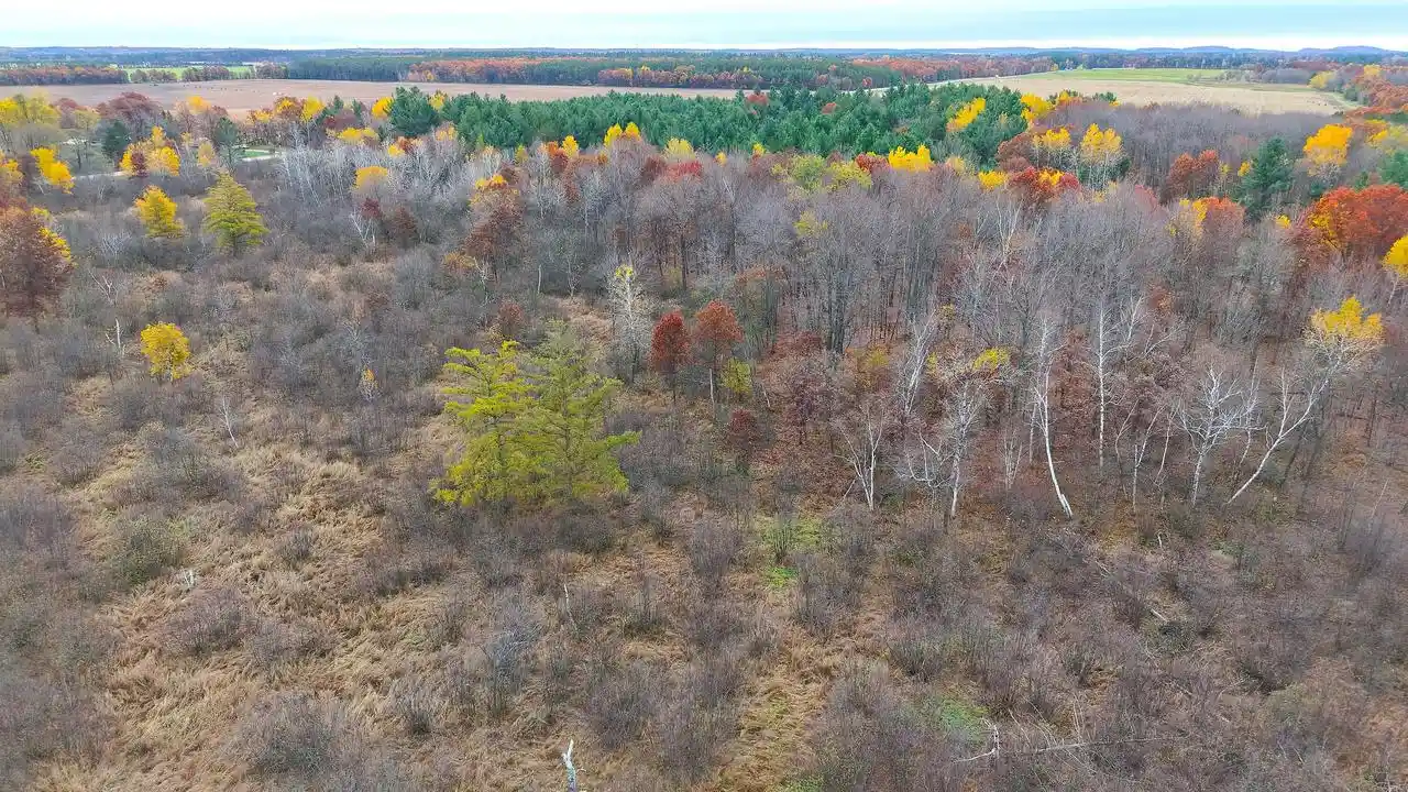 Photo 2 of Land for sale at 1209 County Rd G, Coloma, WI 54930 | MLS# 1986278 | Listing updated on 2026-10-28
