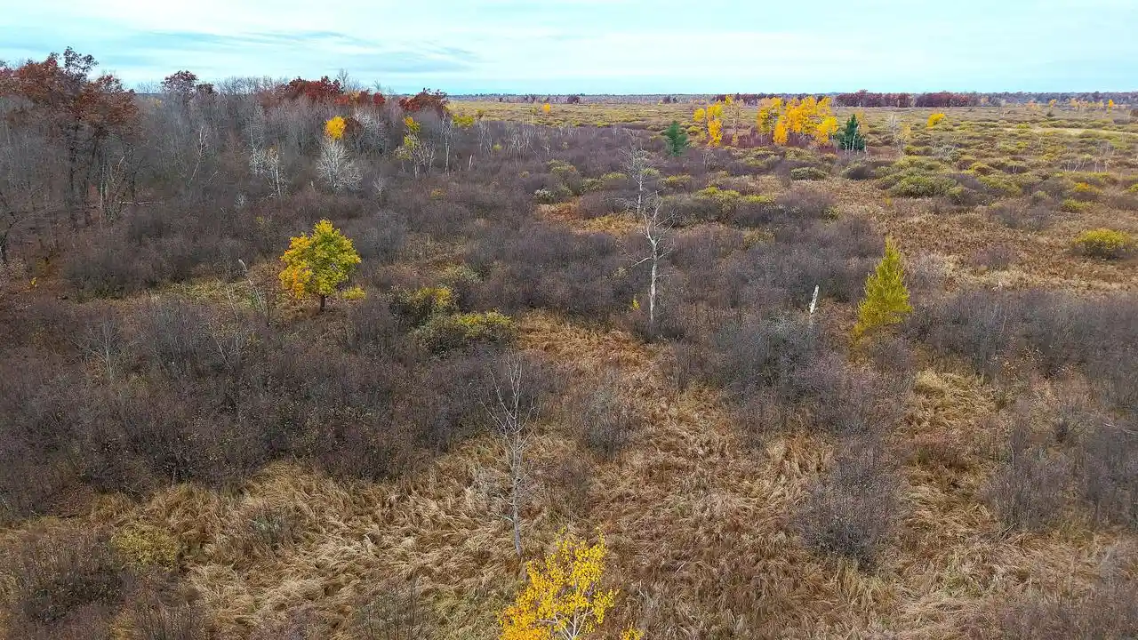 Photo 3 of Land for sale at 1209 County Rd G, Coloma, WI 54930 | MLS# 1986278 | Listing updated on 2026-10-28