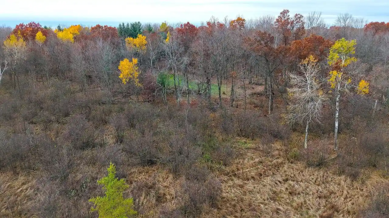 Photo 4 of Land for sale at 1209 County Rd G, Coloma, WI 54930 | MLS# 1986278 | Listing updated on 2026-10-28
