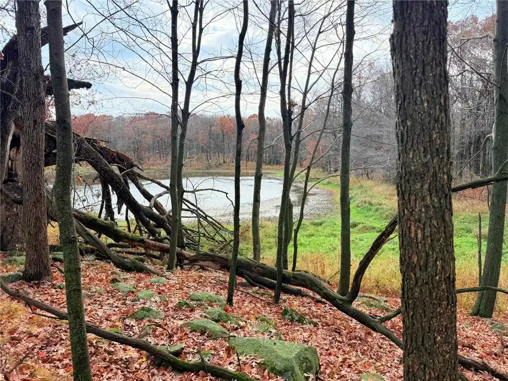 Photo 1 of Land for sale at Xxx 90th Avenue, Amery, WI 54001 | MLS# 7164791 | Listing updated on 2026-10-28