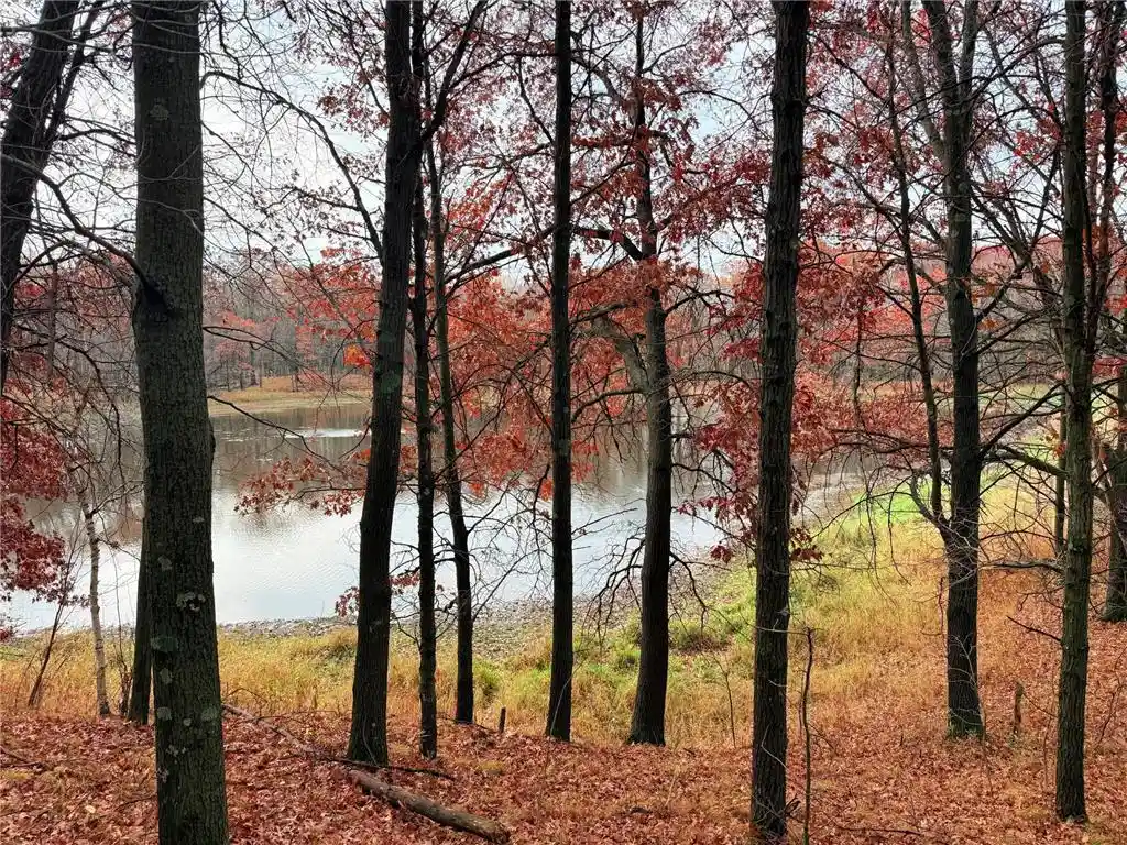 Photo 3 of Land for sale at Xxx 90th Avenue, Amery, WI 54001 | MLS# 7164791 | Listing updated on 2026-10-28