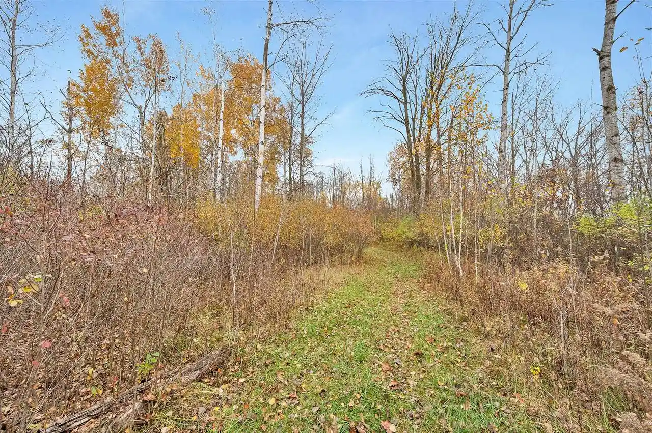 Photo 3 of Land for sale at 5884 County Rd J, Oconto, WI 54153 | MLS# 50335015 | Listing updated on 2026-10-29