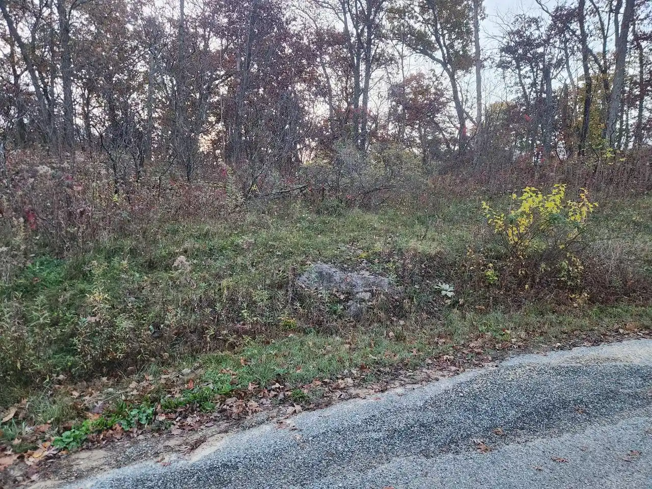 Photo 1 of Land for sale at Xxx Crescent Hills Dr, La Crescent, MN 55947 | MLS# 1986714 | Listing updated on 2026-10-30