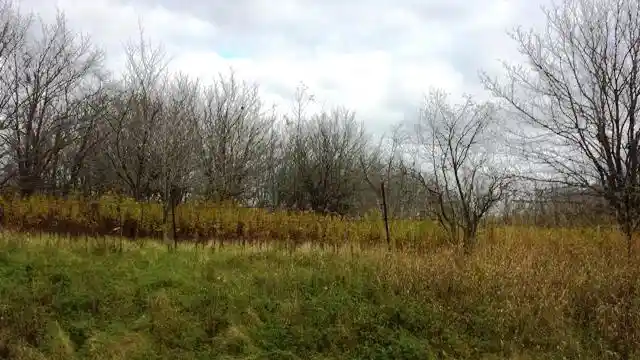 Photo 3 of Land for sale at Lt99 N 18th Street Street, Manitowoc, WI 54220 | MLS# 1775667 | Listing updated on 2026-06-24