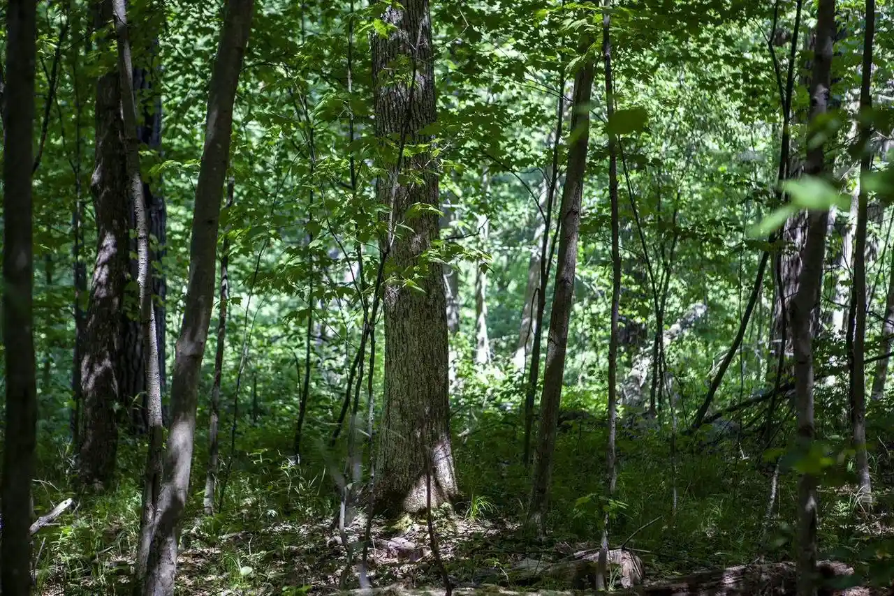 1st image of 80 Acres County Road V, Hancock, WI 54943 | MLS# 22232685