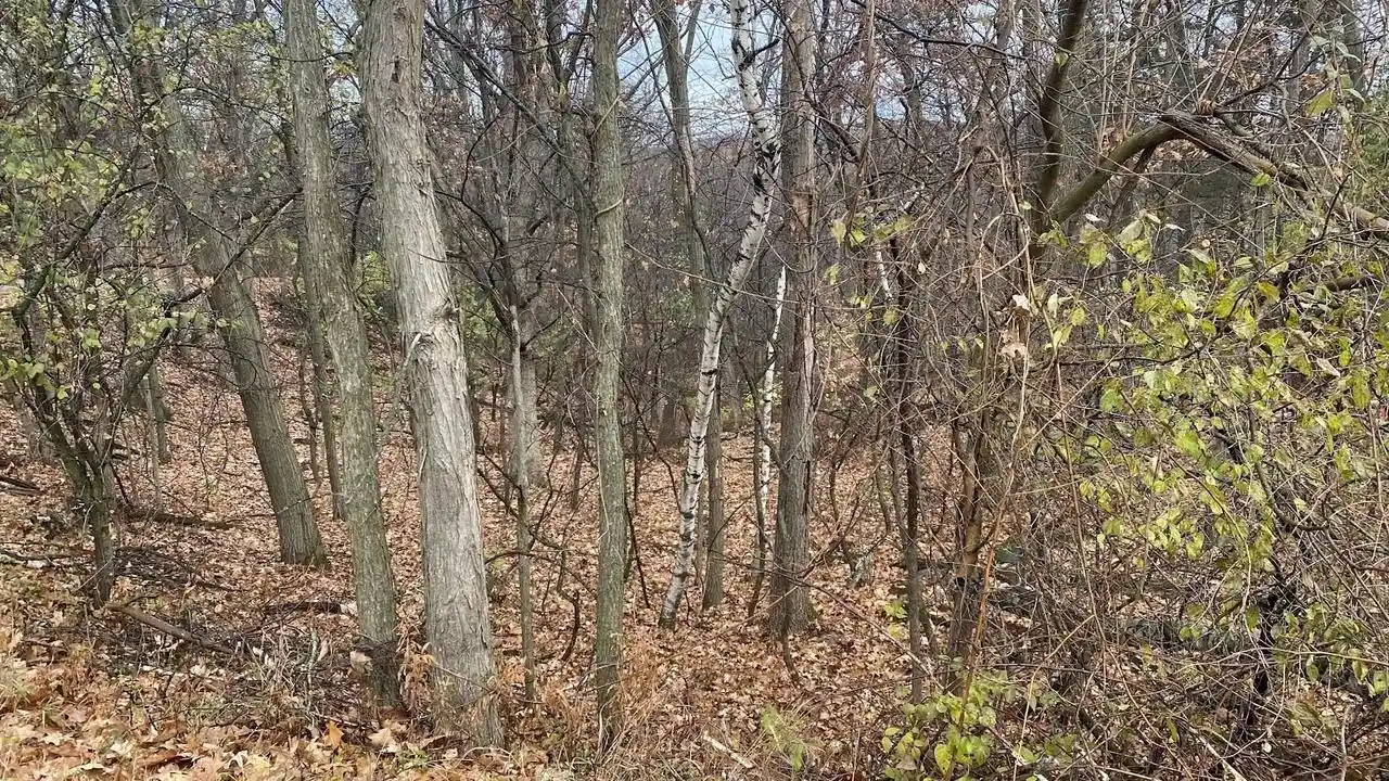 Photo 3 of Land for sale at L27-29 Hillside Dr Dr, Wisconsin Dells, WI 53965 | MLS# 1967700 | Listing updated on 2026-07-30