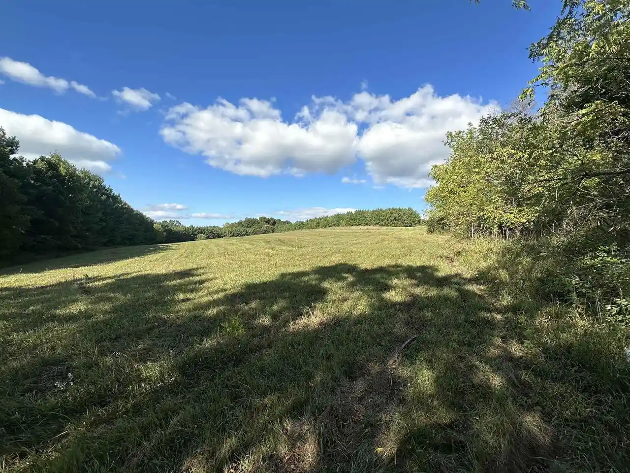 Homes for sale in Verona, WI | Lot 1 Ben Franklin Street Street, Verona, WI 53593 | MLS# 1978025