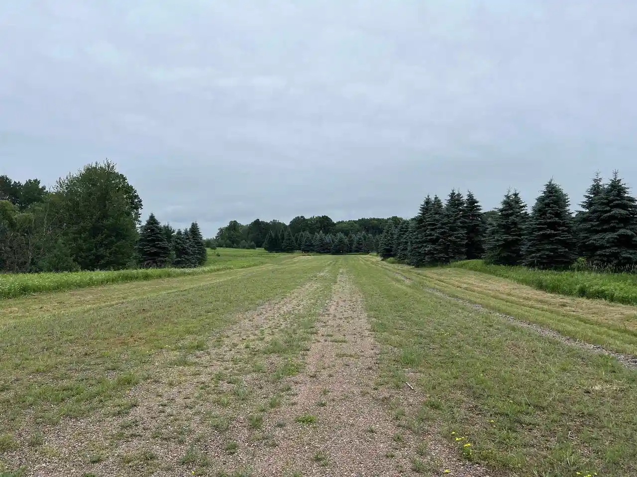 Homes for sale in Wittenberg, WI | Lot 11 State Hwy 45, Wittenberg, WI 54499 | MLS# 22402716