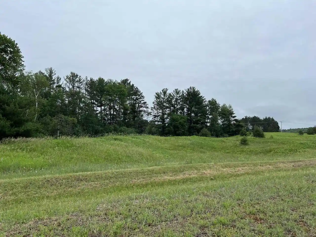 Homes for sale in Wittenberg, WI | Lot 11 State Hwy 45, Wittenberg, WI 54499 | MLS# 22402716