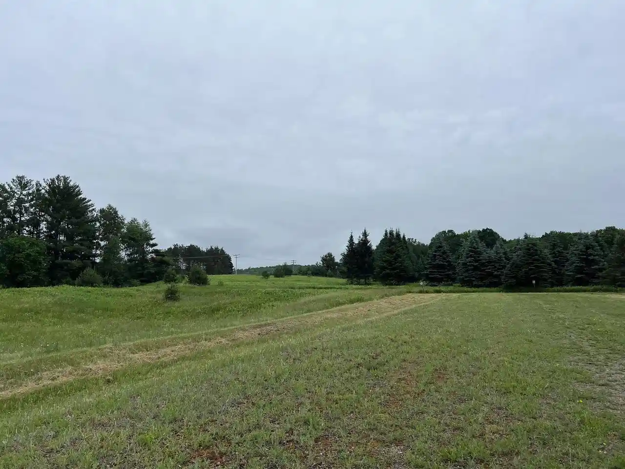 Homes for sale in Wittenberg, WI | Lot 10 State Hwy 45, Wittenberg, WI 54499 | MLS# 22402717