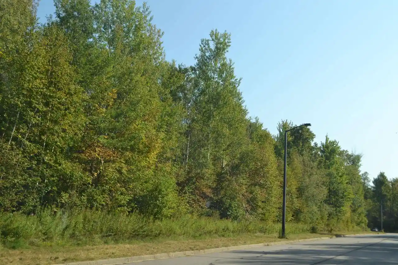 Photo 2 of Land for sale at 10204 Adventure Way Way, Schofield, WI 54476 | MLS# 22404321 | Listing updated on 2026-04-29
