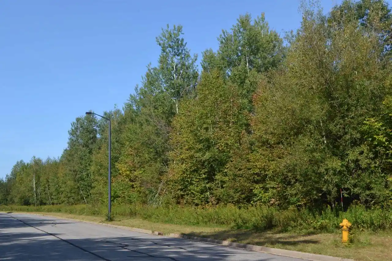 Photo 3 of Land for sale at 10204 Adventure Way Way, Schofield, WI 54476 | MLS# 22404321 | Listing updated on 2026-04-29