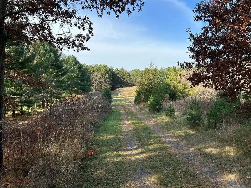 Photo 1 of Land for sale at 1888 80th Street Street, Somerset, WI 54025 | MLS# 6620079 | Listing updated on 2026-06-15